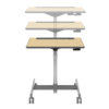 LearnFit SE2 Sit-Stand Desk | 24-715-F13
